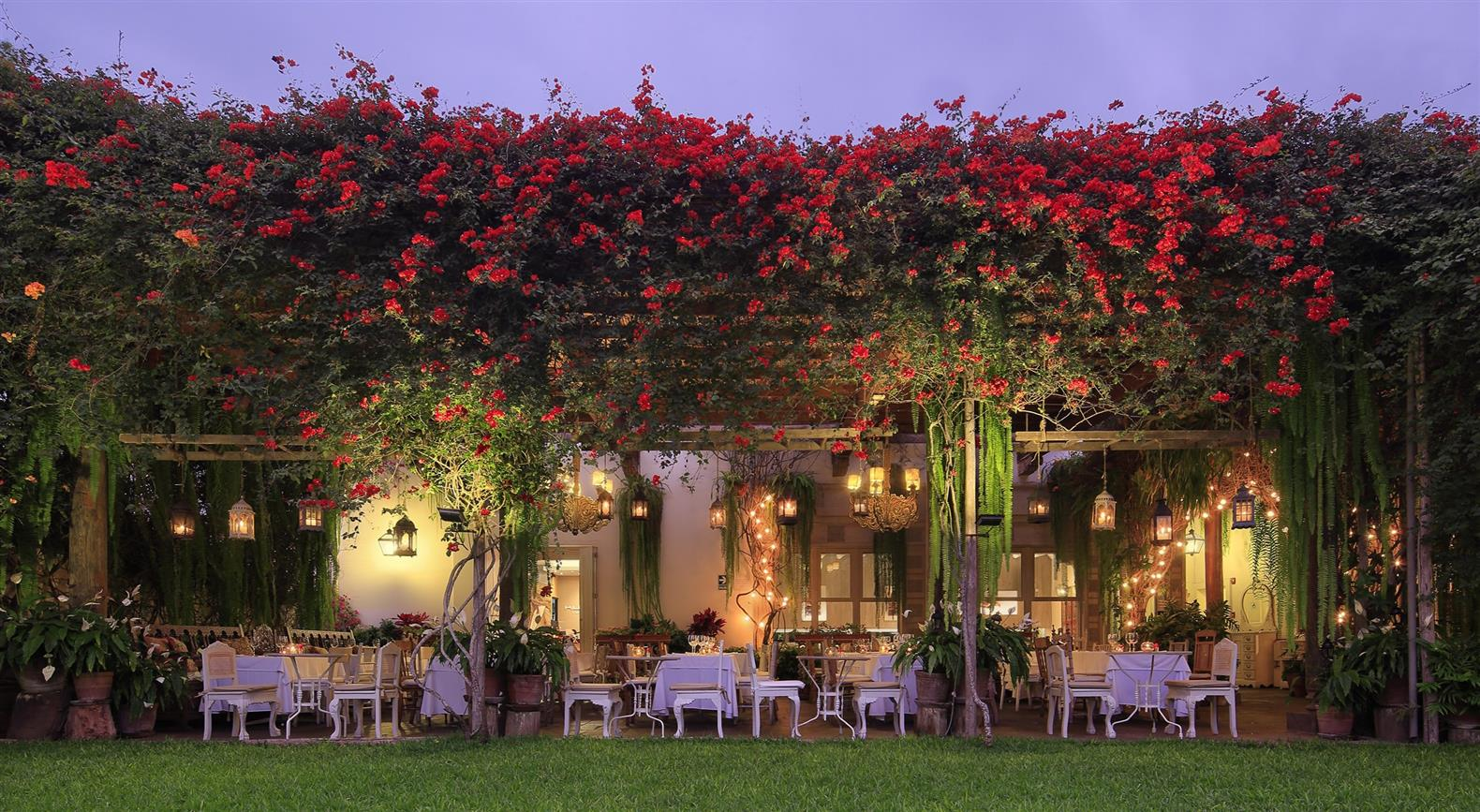Dinner at Café del Museo