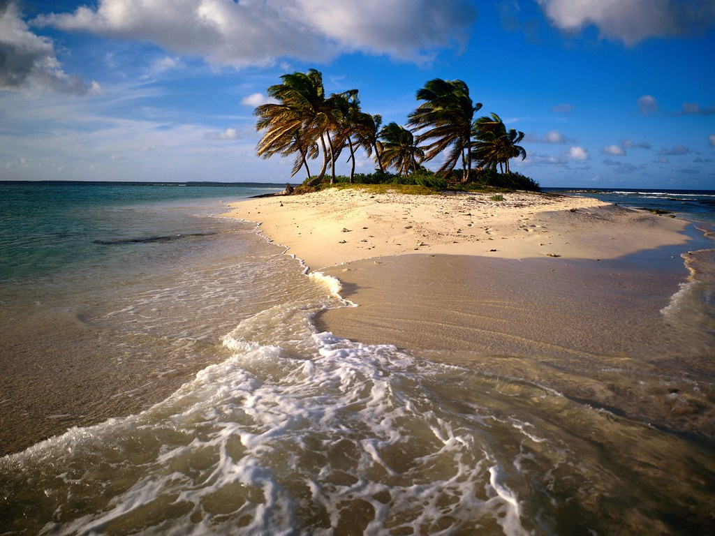 A Day at Sandy Island 1