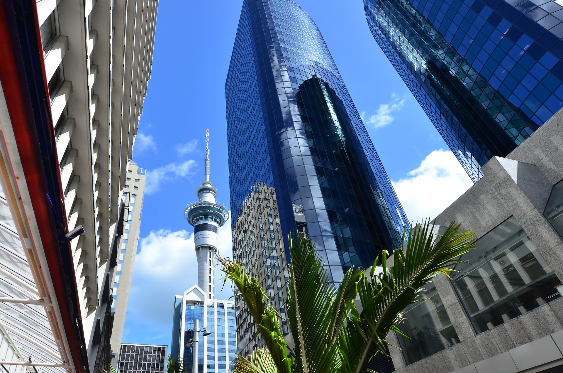 Auckland