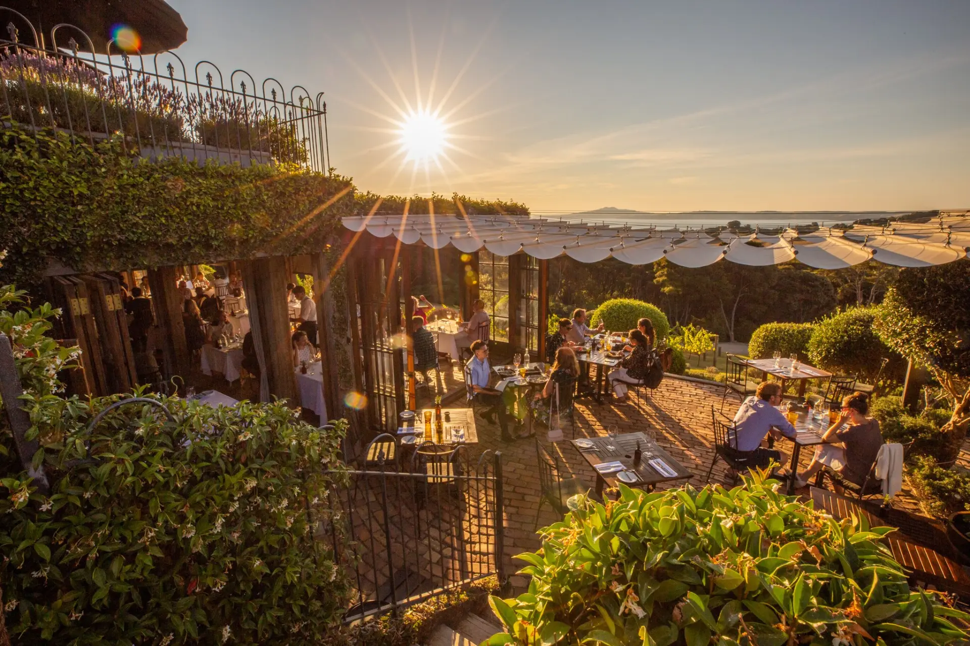 Waiheke Island Wine & Culinary Experience 2